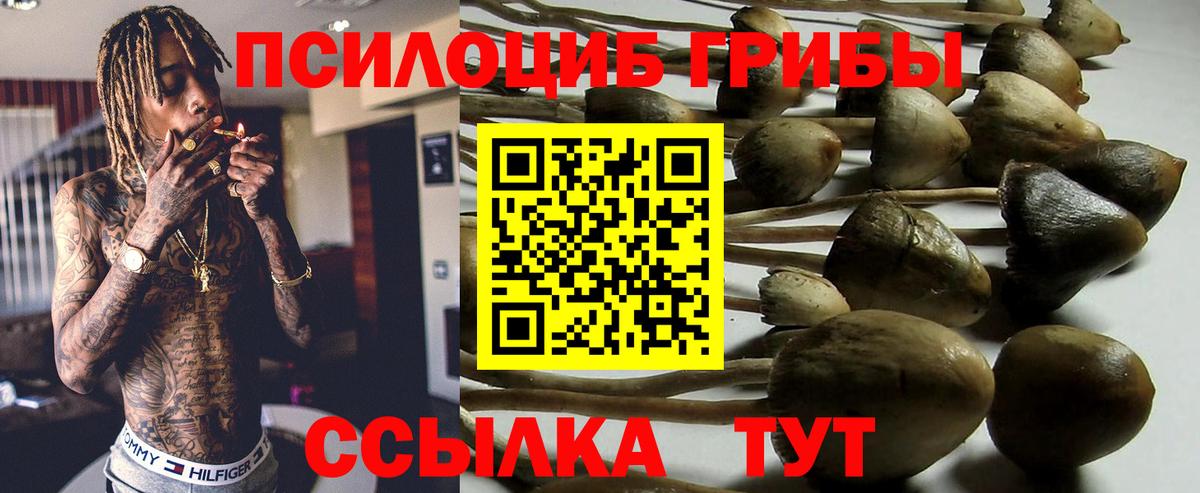 Псилоцибиновые грибы ЛСД  Вход с VPN  цена   Барабинск 